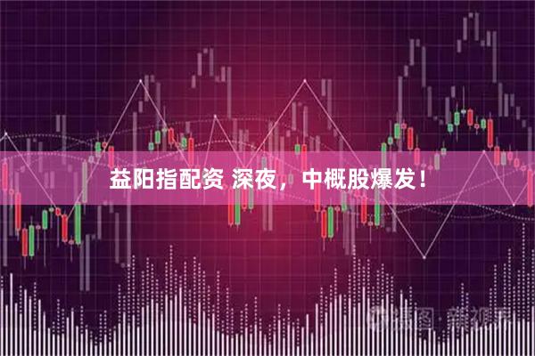 益阳指配资 深夜，中概股爆发！